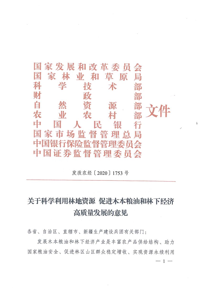 国家发展和改革委员会 国家林业和草原局《关于科学利用林地资源促进木本粮油和林下经济高质量发展的意见》发改农经〔2020〕1753号第1页