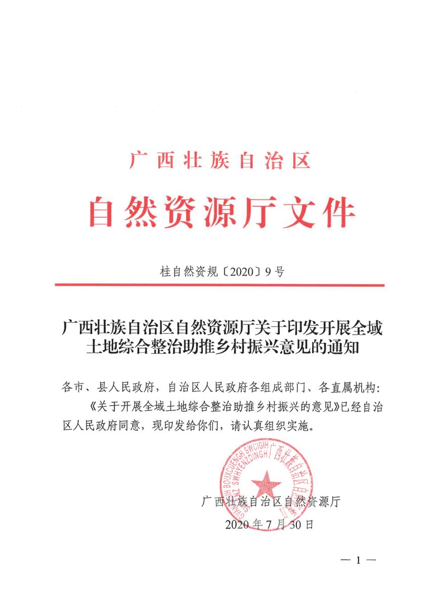 广西壮族自治区自然资源厅《开展全域土地综合整治助推乡村振兴意见》桂自然资规〔2020〕9号第1页