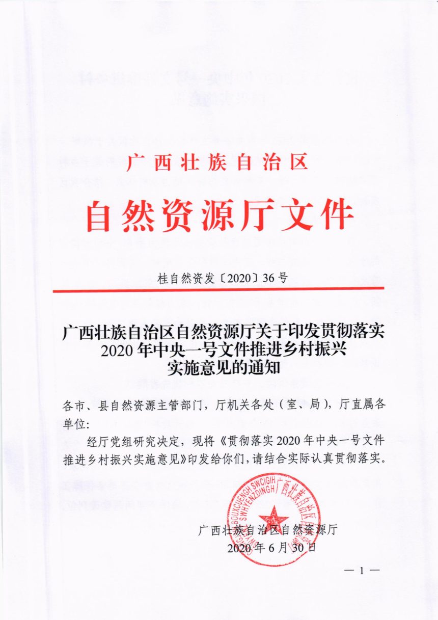 广西壮族自治区自然资源厅《贯彻落实2020年中央一号文件推进乡村振兴实施意见》桂自然资发〔2020〕36号第1页