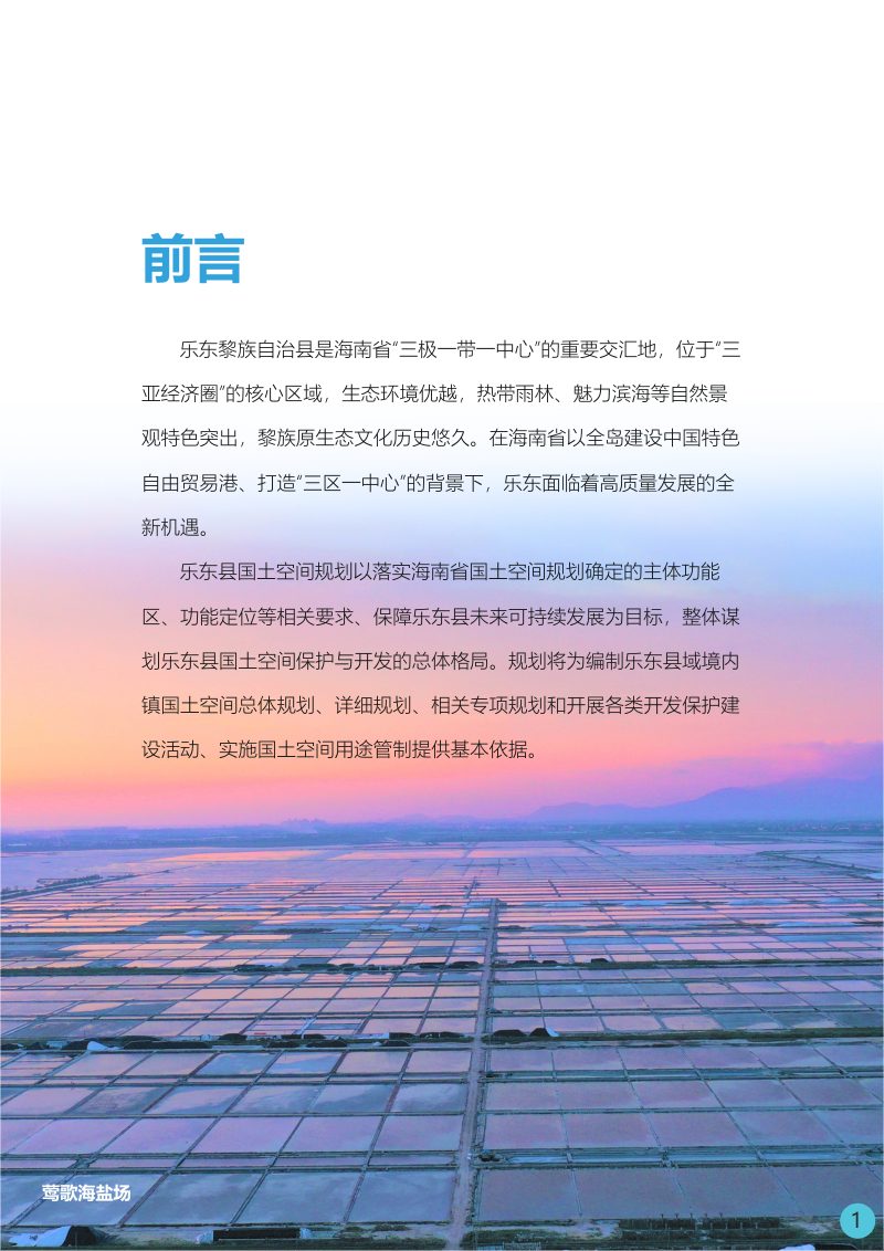海南省乐东黎族自治县国土空间总体规划（2020-2035）第2页