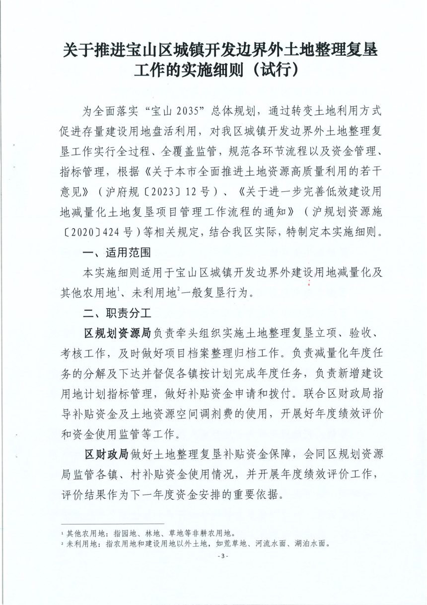 上海市《关于推进宝山区城镇开发边界外土地整理复垦工作的实施细则》宝规划资源〔2026〕2号第3页