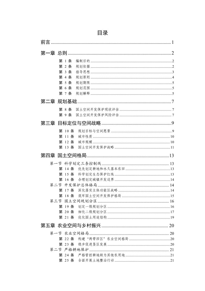 广东省雷州市国土空间总体规划（2021-2035年）第2页