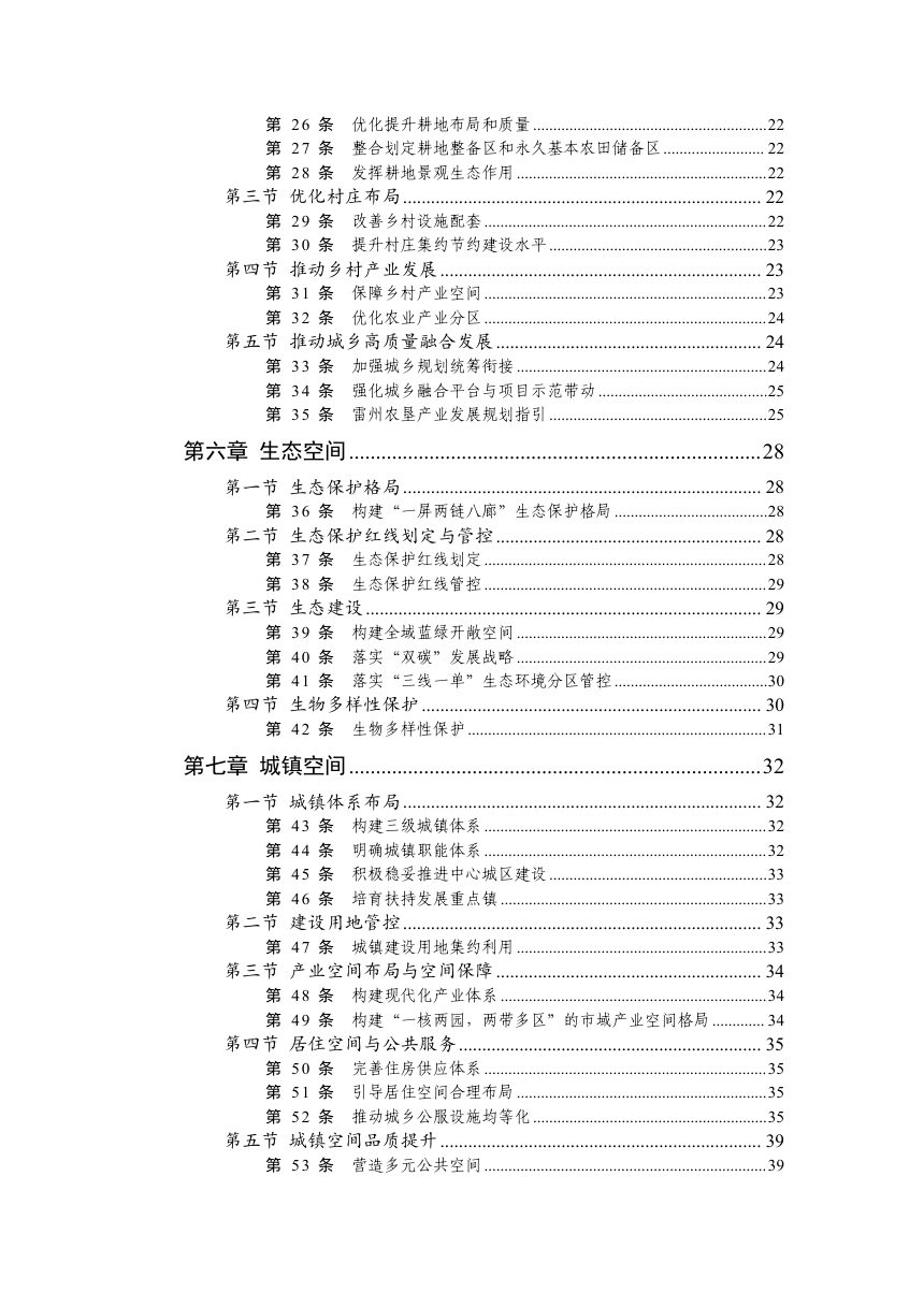 广东省雷州市国土空间总体规划（2021-2035年）第3页