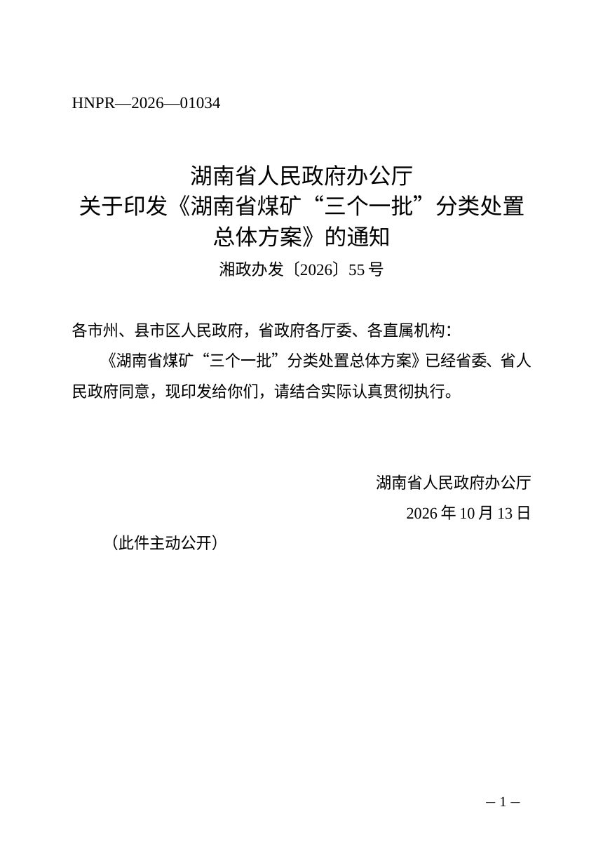 湖南省煤矿“三个一批”分类处置总体方案第1页