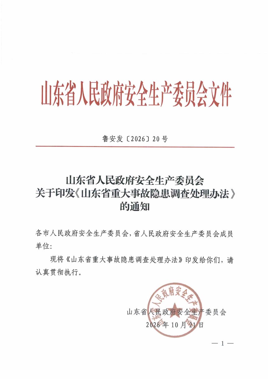 山东省重大事故隐患调查处理办法第1页