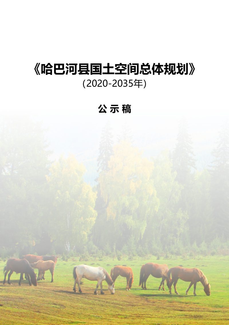 新疆哈巴河县国土空间规划（2020—2035年）第1页