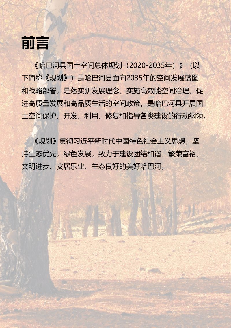 新疆哈巴河县国土空间规划（2020—2035年）第2页