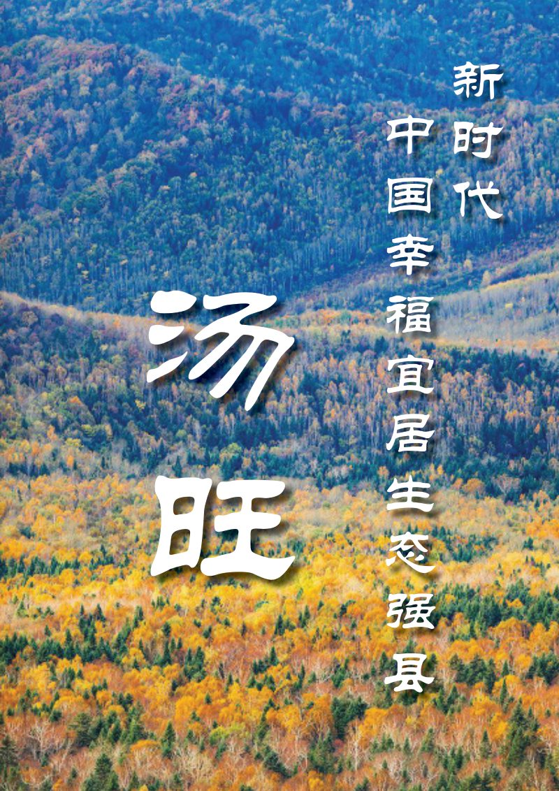 黑龙江省汤旺县国土空间总体规划（2021-2035年）第2页