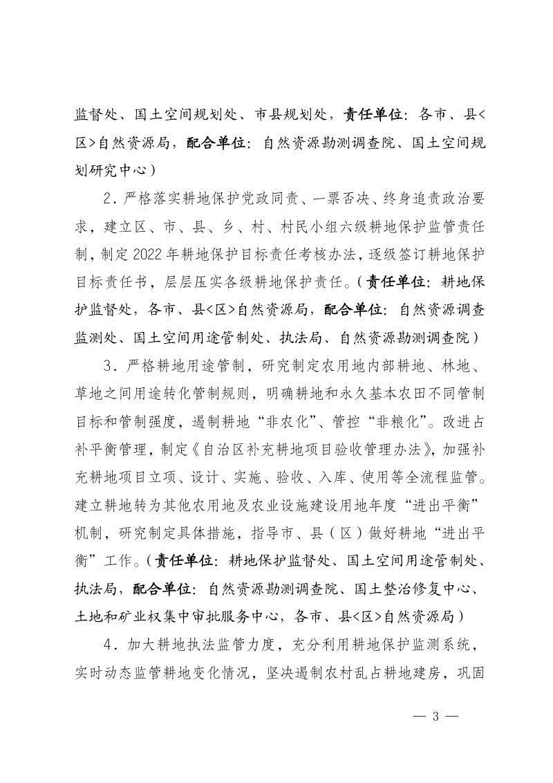 宁夏自然资源厅《2022年自然资源系统全面推进乡村振兴工作要点》第3页