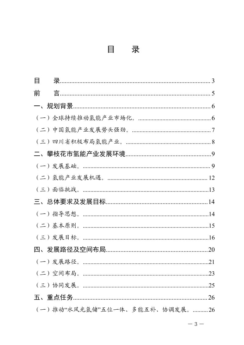 攀枝花市氢能产业示范城市发展规划（2021-2030年）第3页