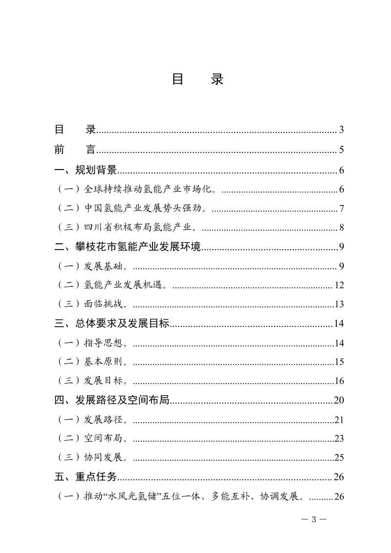 攀枝花市氢能产业示范城市发展规划（2021-2030年）第3页