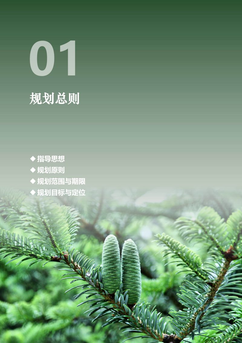 浙江省庆元县国土空间总体规划（2021-2035）第3页