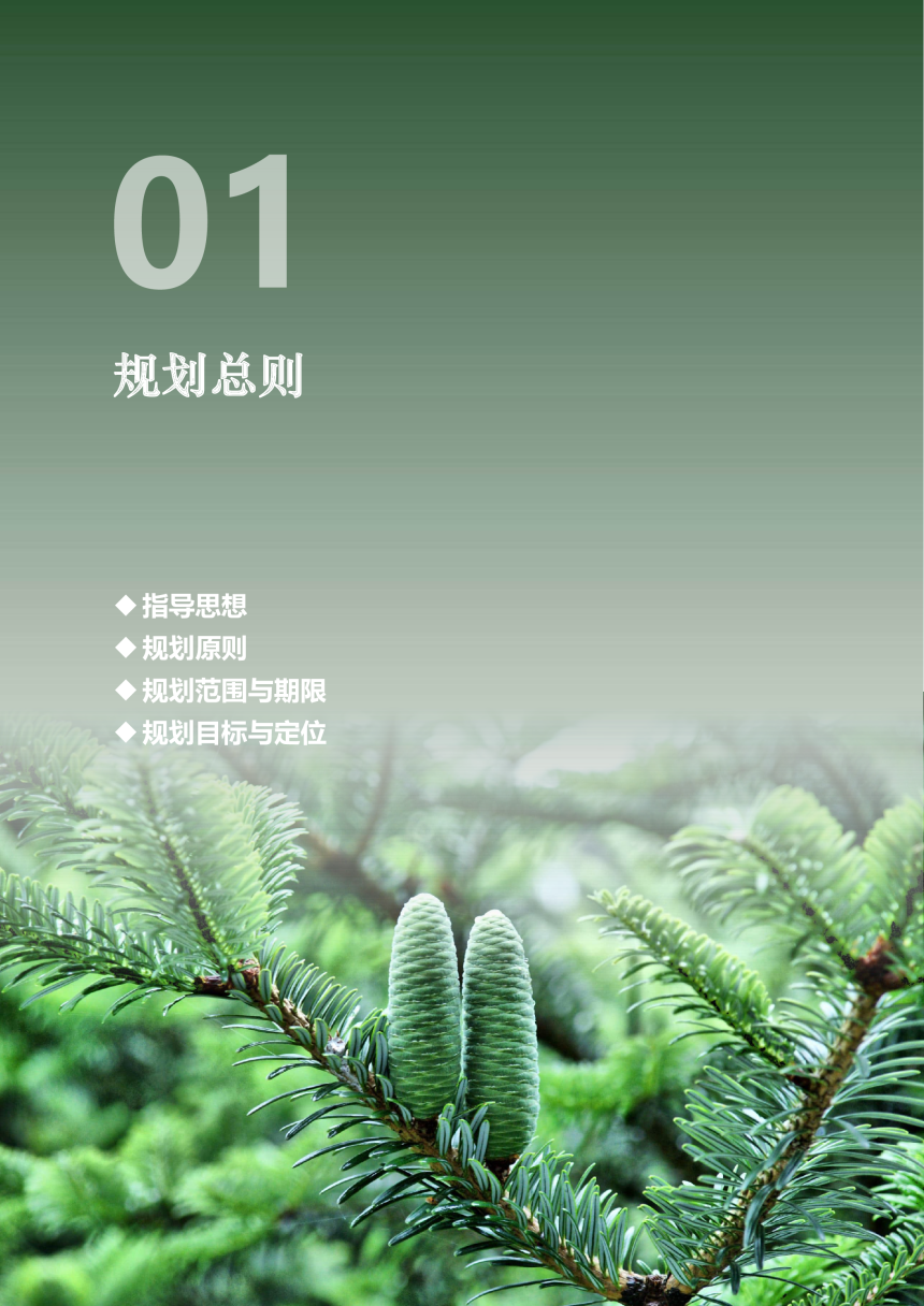浙江省庆元县国土空间总体规划（2021-2035）-3