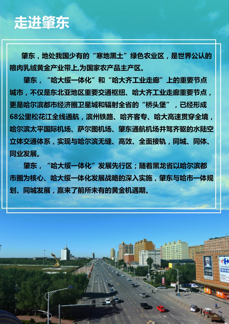 黑龙江省肇东市国土空间总体规划 （2021-2035年第3页