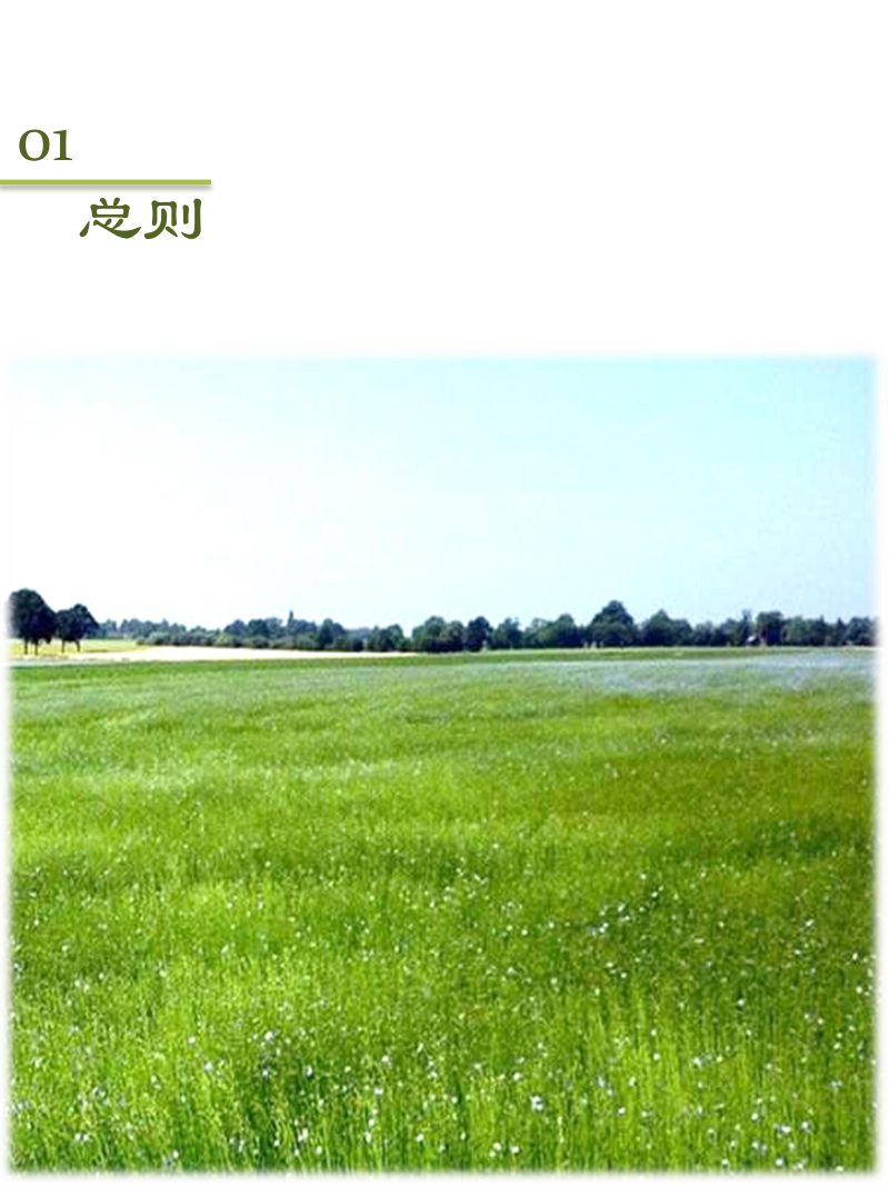 黑龙江省兰西县国土空间总体规划（2021-2035年）第3页