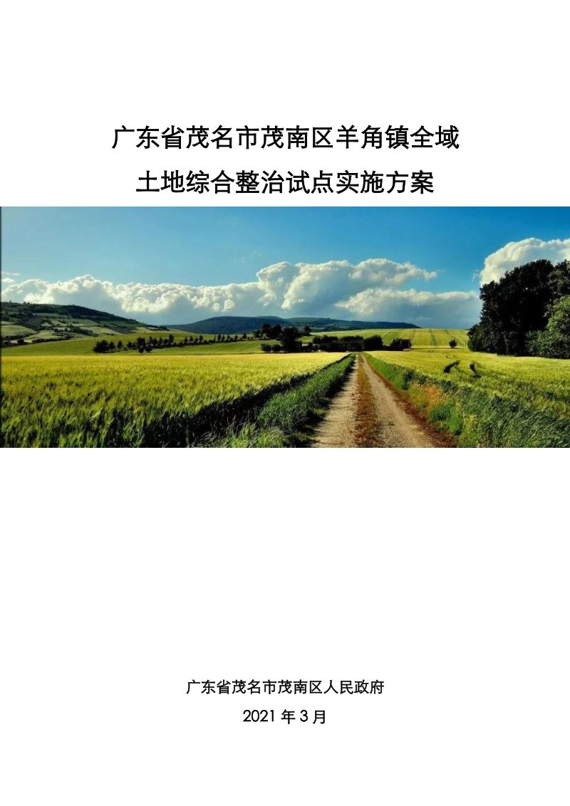 广东省茂名市茂南区羊角镇全域土地综合整治试点实施方案第1页