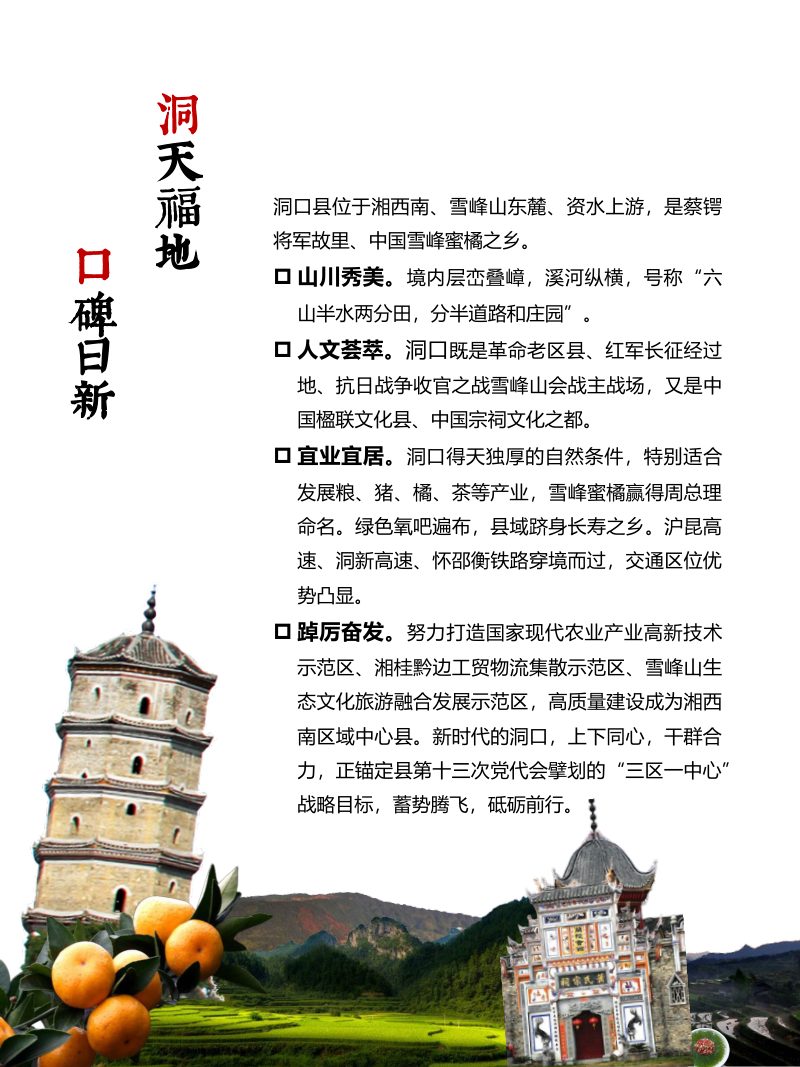 湖南省洞口县国土空间总体规划（2021-2035年）第3页