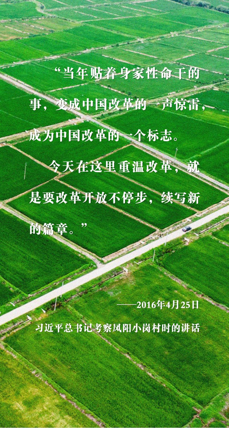 安徽省凤阳县国土空间总体规划（2021-2035年）第2页