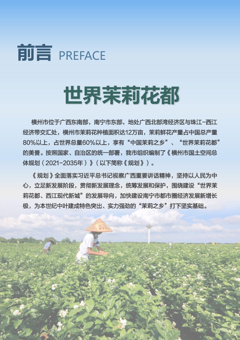 广西横州市国土空间总体规划（2021-2035年）第2页