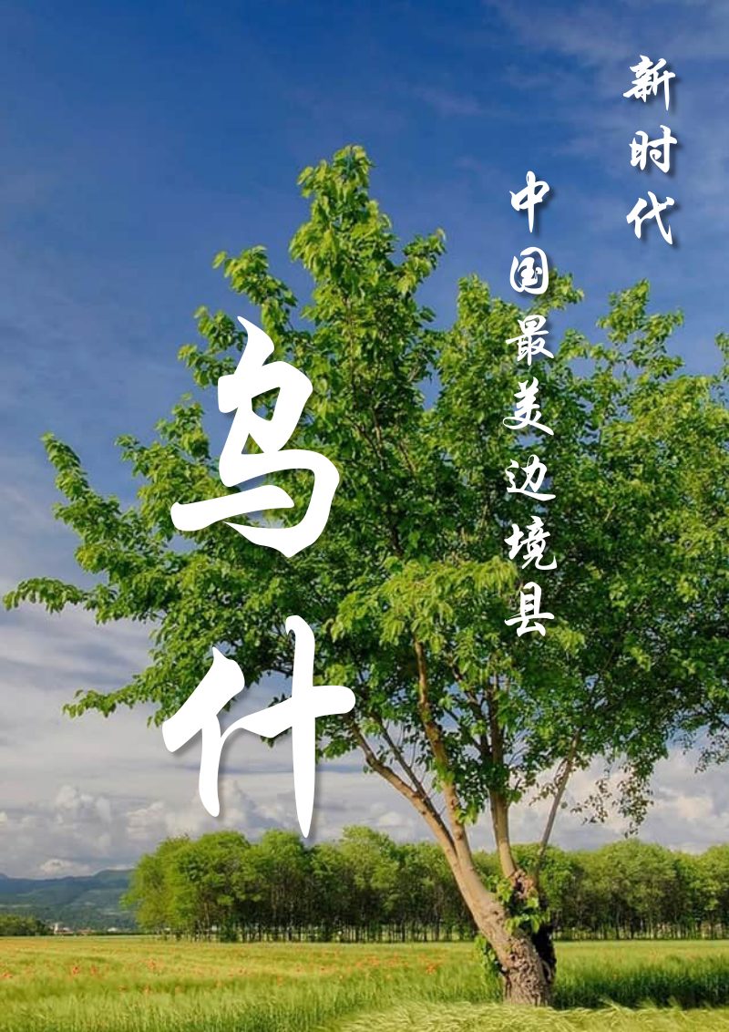 新疆乌什县国土空间总体规划（2021-2035）第2页