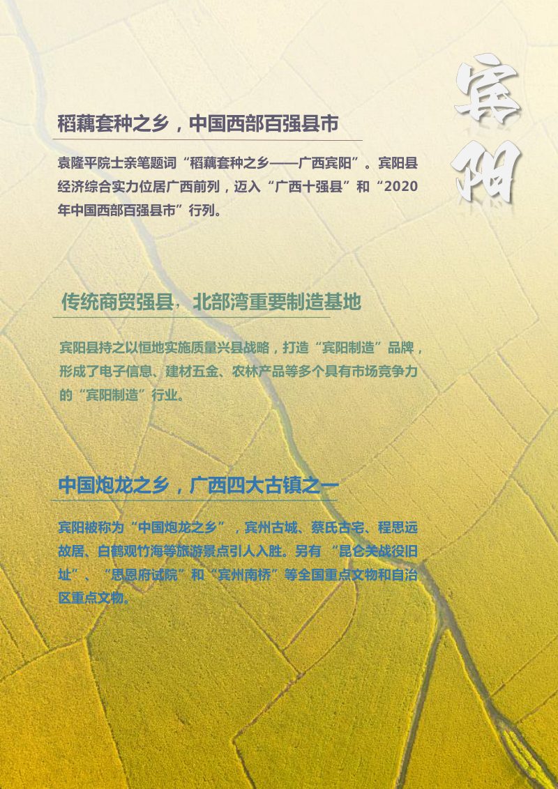 广西宾阳县国土空间总体规划（2021-2035）第3页