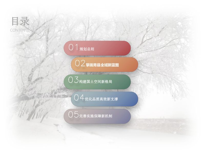 河北省青县国土空间总体规划（2021-2035）第3页
