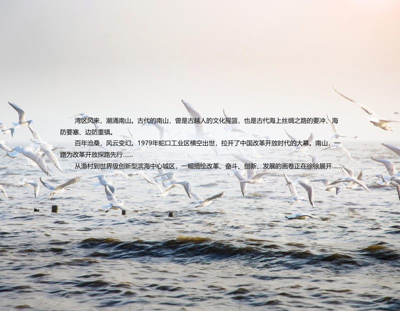 深圳市南山区国土空间分区规划（2021-2035年）第2页