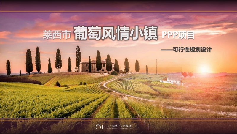 山东莱西市葡萄小镇PPP项目可行性规划设计第1页
