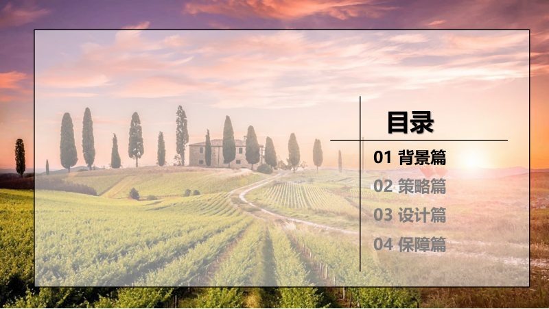 山东莱西市葡萄小镇PPP项目可行性规划设计第2页