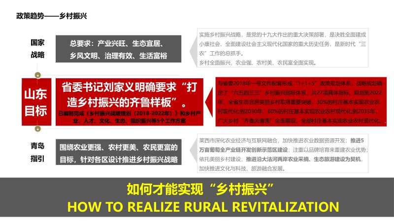 山东莱西市葡萄小镇PPP项目可行性规划设计第3页
