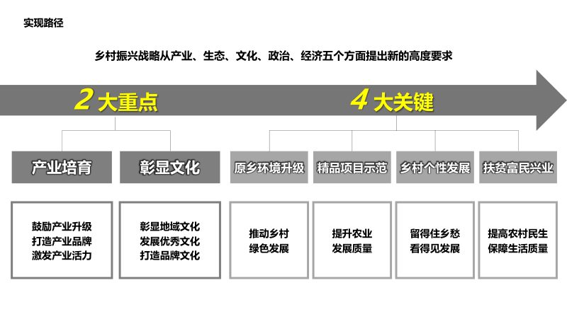 山东莱西市葡萄小镇PPP项目可行性规划设计第4页