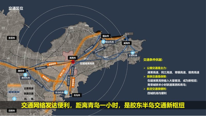 山东莱西市葡萄小镇PPP项目可行性规划设计第6页