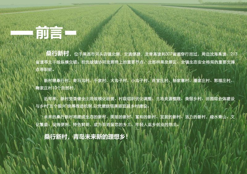 莱西市河头店镇桑行新村村庄规划（2021-2035）第2页