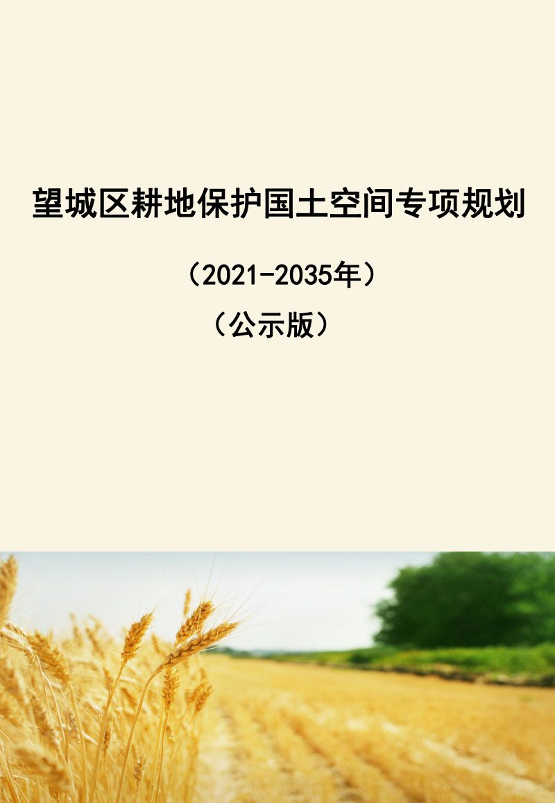 长沙市望城区耕地保护国土空间专项规划（2021-2035年）第1页