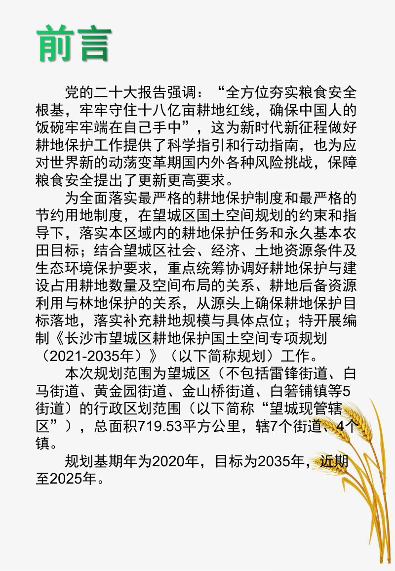 长沙市望城区耕地保护国土空间专项规划（2021-2035年）第2页