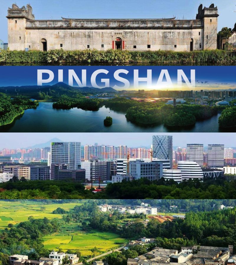 广东省深圳市坪山区国土空间分区规划（2021-2035年）第3页