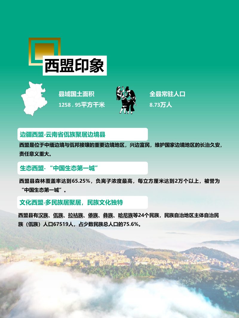 云南省西盟佤族自治县国土空间总体规划（2021-2035年）第3页