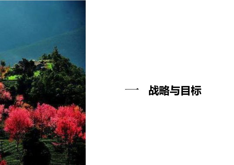 云南省南涧县国土空间总体规划（2021-2035）第3页