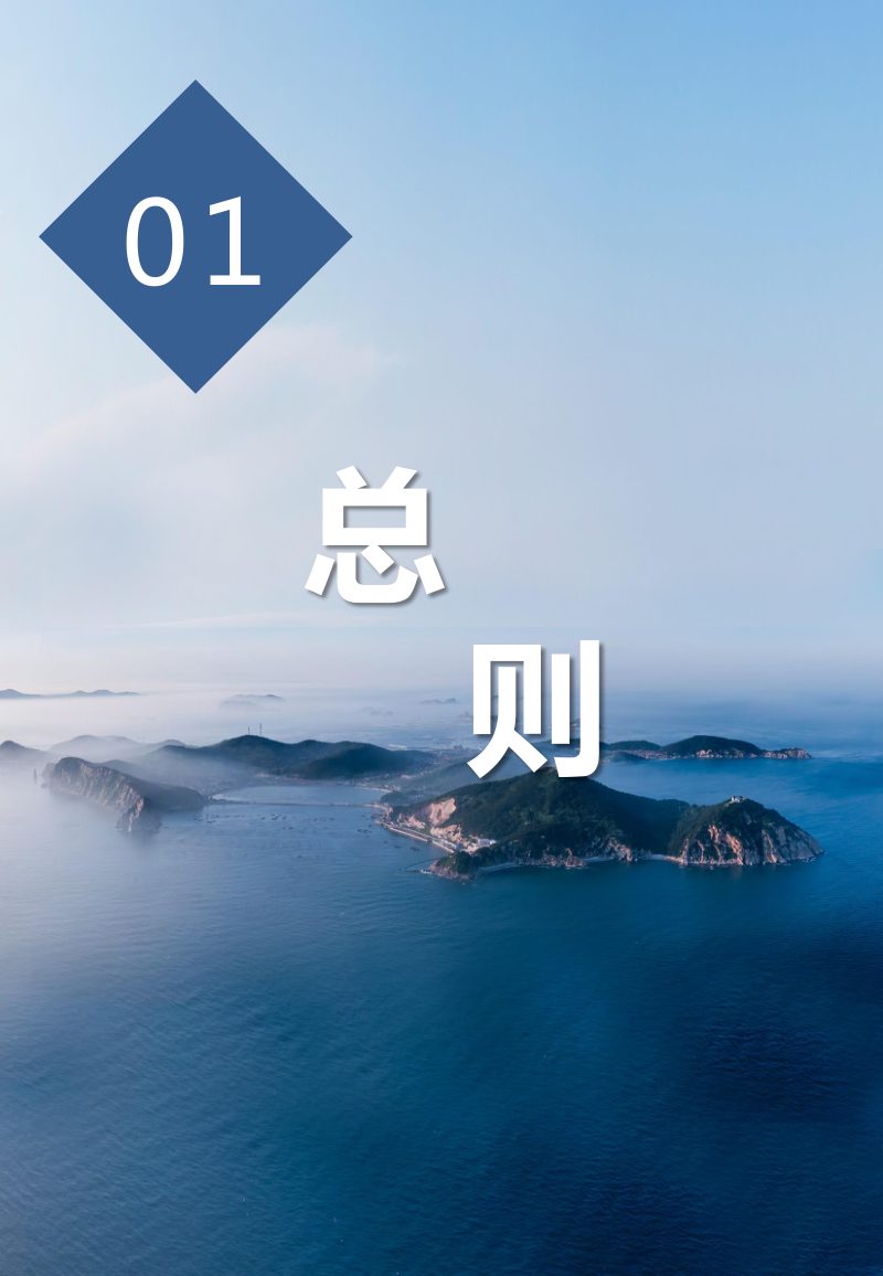 庄河市王家镇国土空间总体规划（2021-2035年）第3页