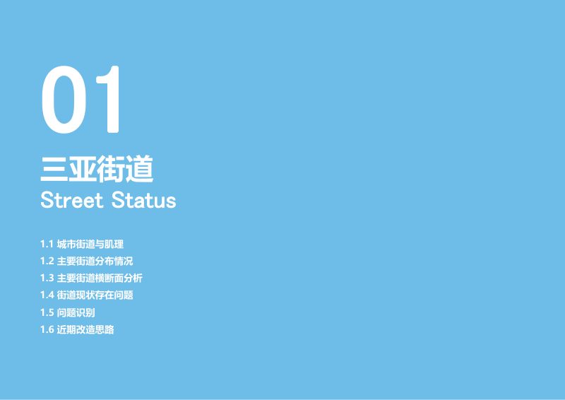 三亚市街道精品化近期改造实施指引第3页