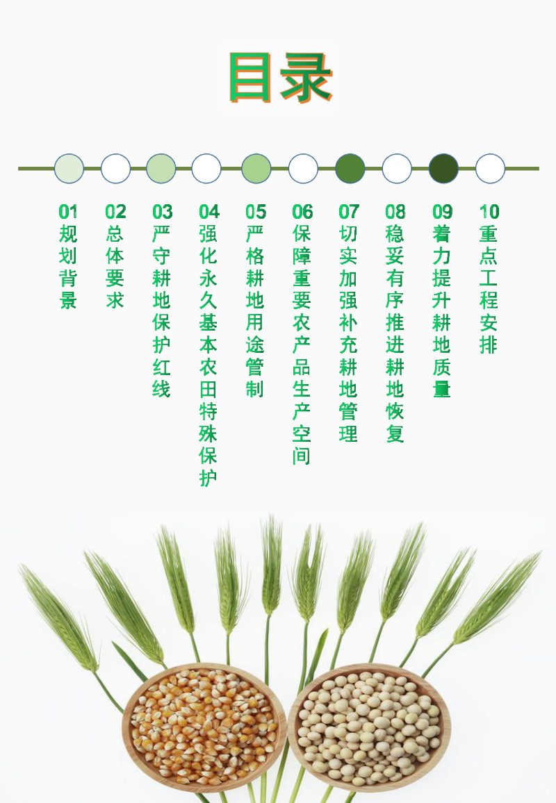 道县耕地保护国土空间专项规划（2021-2035年）第2页