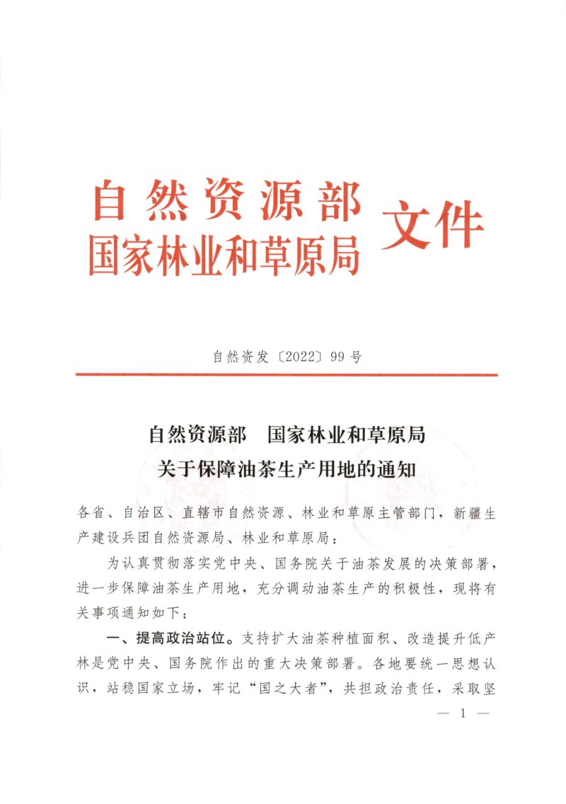 自然资源部 国家林业和草原局《关于保障油茶生产用地的通知》自然资发〔2022〕99号第1页