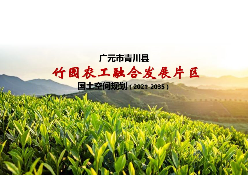 青川县竹园农工融合发展片区国土空间规划（2021--2035）第1页