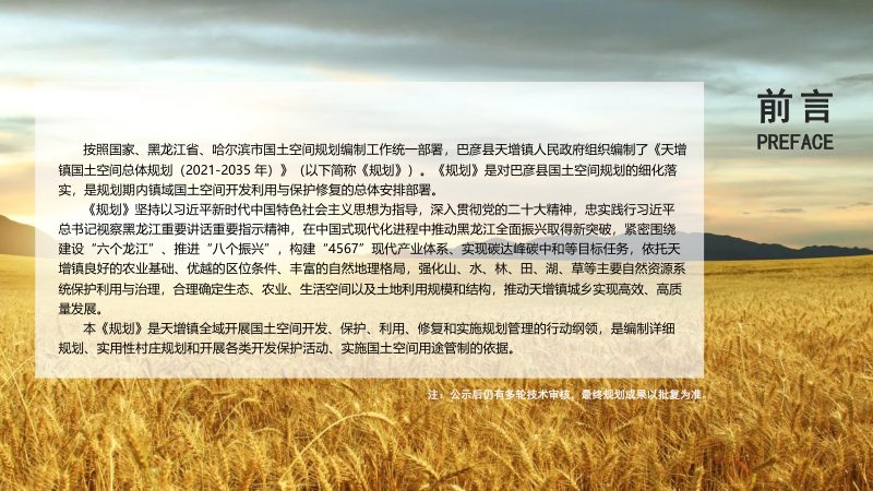 巴彦县天增镇国土空间总体规划（2021-2035年）第2页