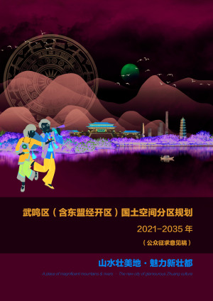 广西南宁市武鸣区（含东盟经开区）国土空间分区规划（2021-2035年）
